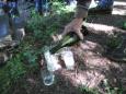 IMG 5289