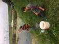 IMG 1391 - kopie