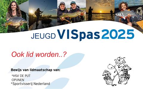 Vispas 2025